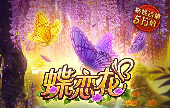 355娱乐安卓版v3.0