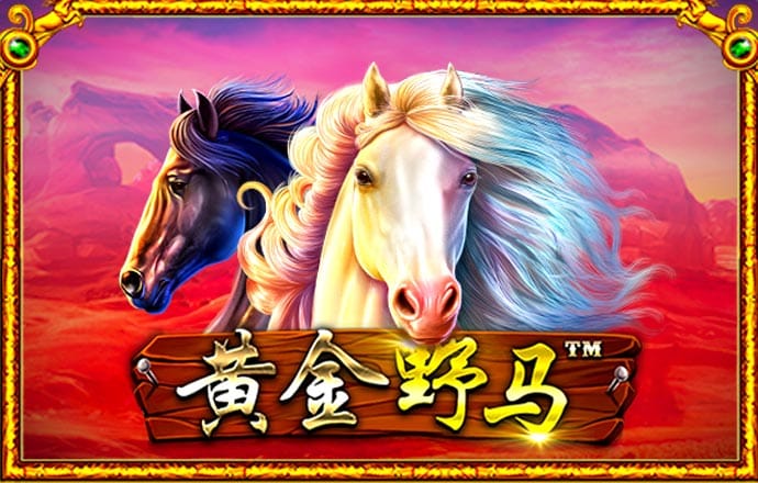今年会体育app下载
